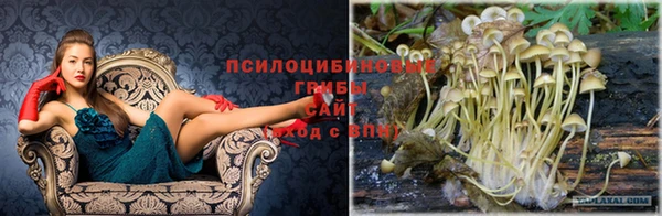 герыч Белокуриха